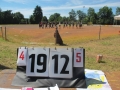 13662070_1041591175896195_2375978897878255809_o