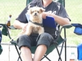 braves_bash_2018 (29)